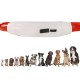 COLLARE PER CANI E GATTI CON ILLUMINAZIONE LED