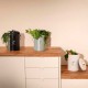 CUBO DI COMPOSTAGGIO DA CUCINA 6 L