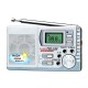RADIO DIGITALE AM/FM CON ALLARME