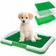 TAPPETINO DI APPRENDIMENTO PER ANIMALI DOMESTICI