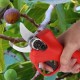 FORBICE ELETTRICA DA POTATURA CON 2 BATTERIE E LAME DI RICAMBIO