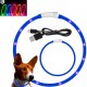 COLLARE PER CANI E GATTI CON ILLUMINAZIONE LED