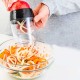 TAGLIA VERDURE A SPIRALE CON CONTENITORE