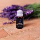 SET DI 10 OLI ESSENZIALI 15 ML