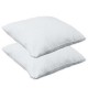 Cuscini Confort Viscosa 60x50 CM 2 Pezzi