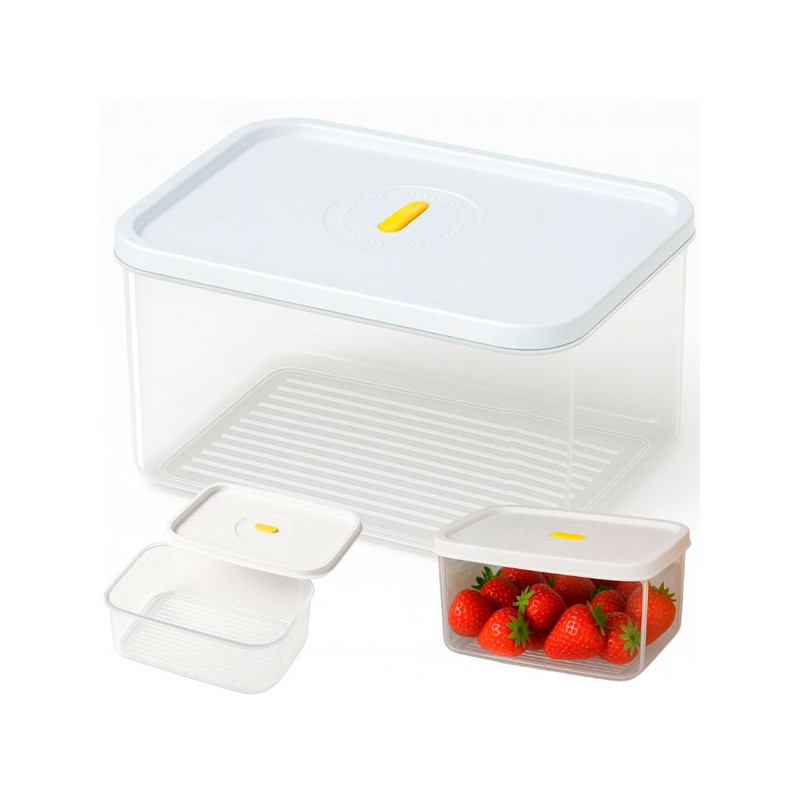 CONTENITORE PER ALIMENTI CON COPERCHIO ERMETICO 2500 ML